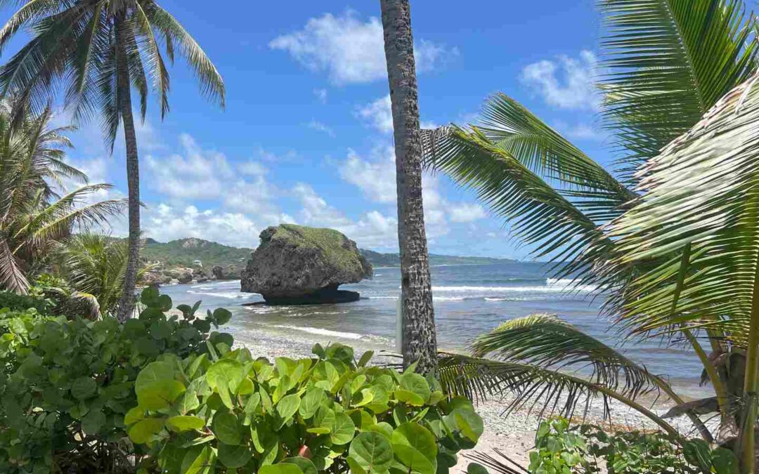 Barbados Travel Guide