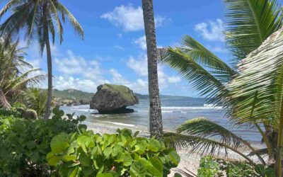 Barbados Travel Guide