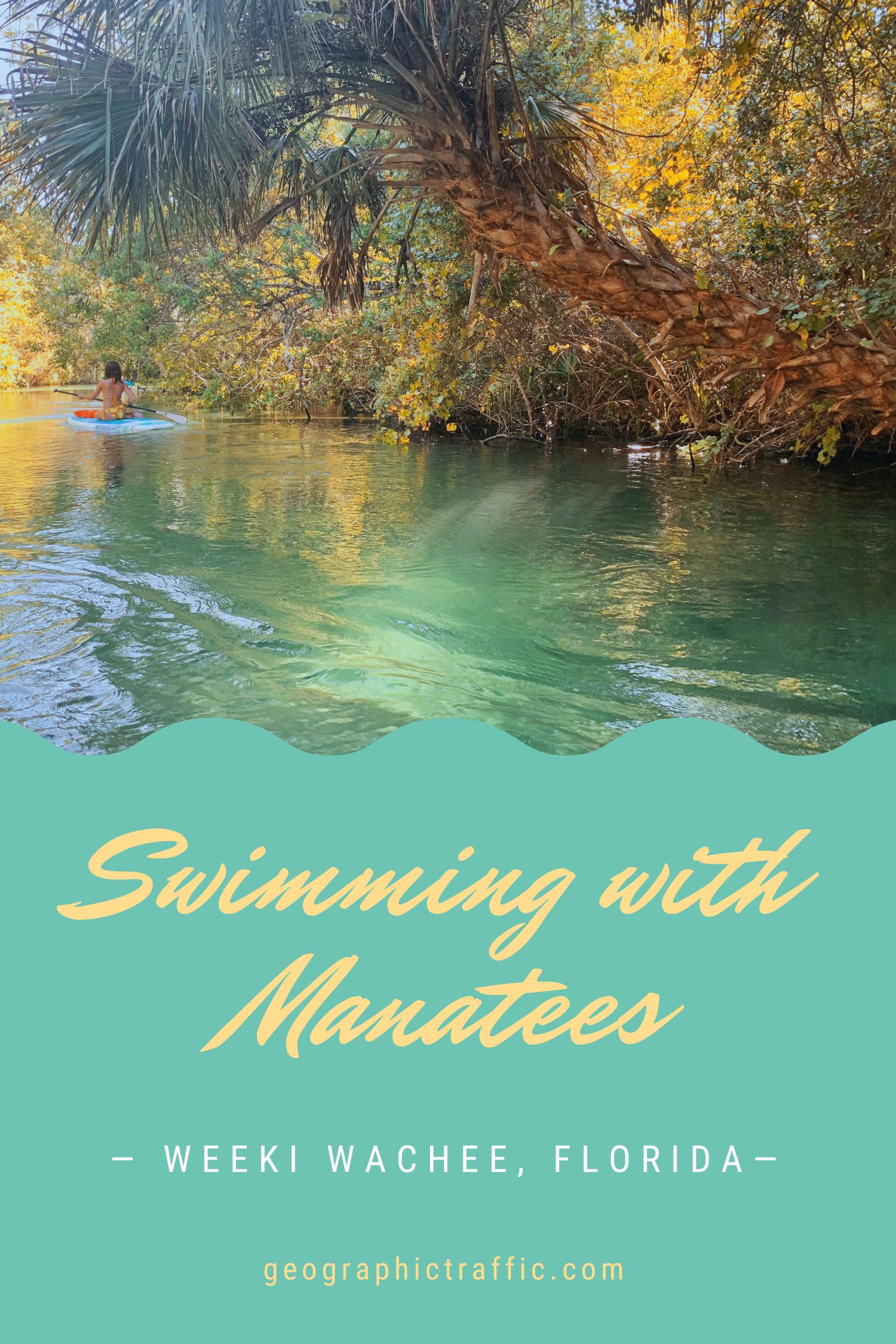 manatees