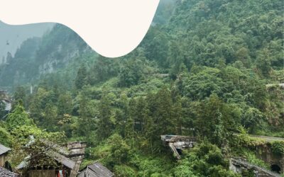 The Best Place to Stay in Zhangjiajie