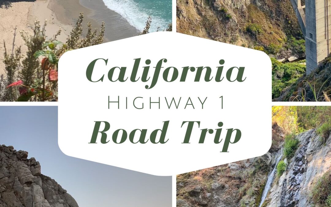 California Highway 1 Road Trip