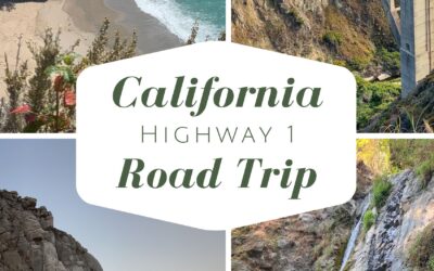 California Highway 1 Road Trip