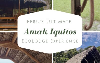 Amak Iquitos: Peru’s Ultimate Eco-Lodge Experience