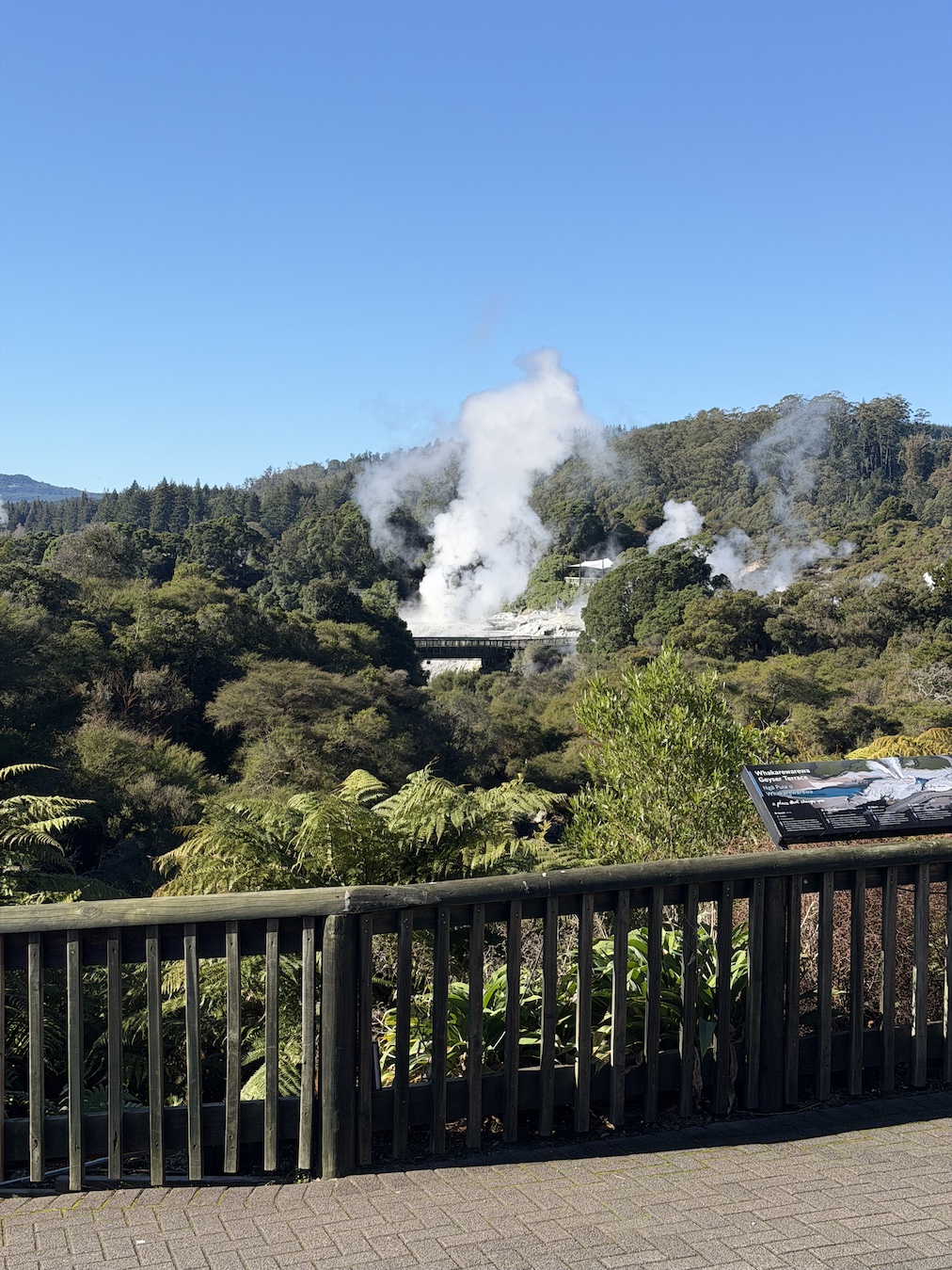 NZ10