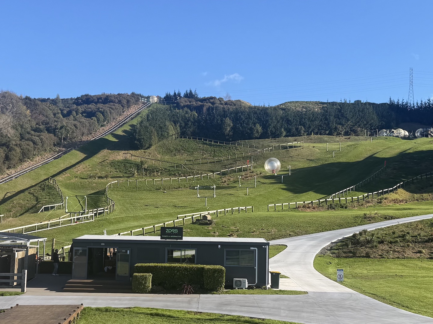 NZ15