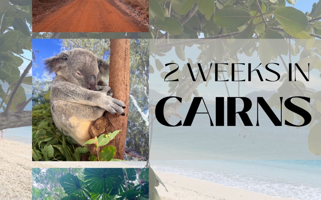 Two Weeks in Cairns