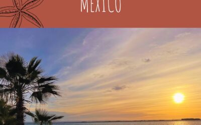 The Best of La Paz